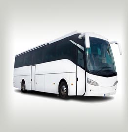 large coach service
